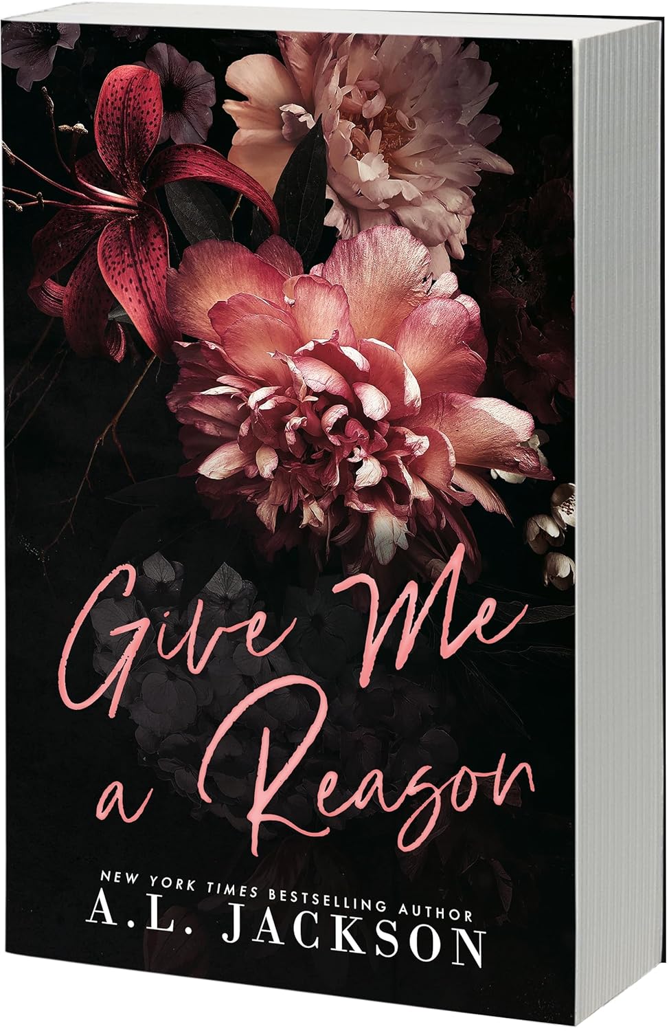 Give Me a Reason Paperback by A.L. Jackson