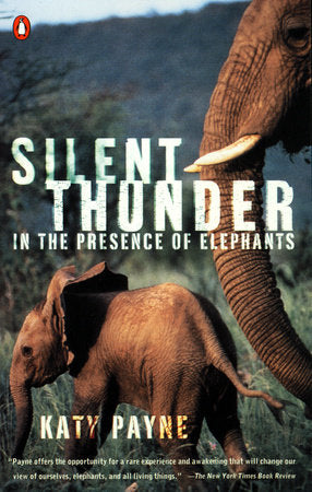 Silent Thunder Paperback by Katy Payne