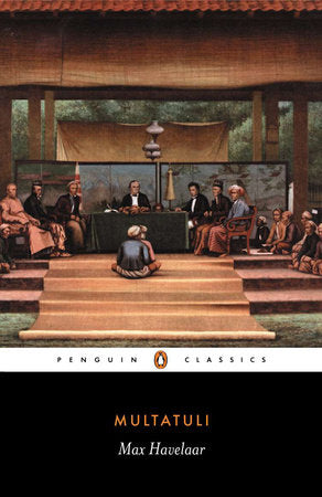 Max Havelaar Paperback by Multatuli