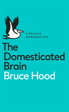 A Pelican Introduction the Domesticated Brain Paperback by Bruce Hood