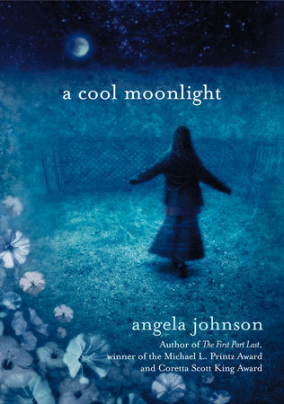 A Cool Moonlight Paperback by Angela Johnson