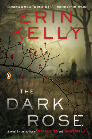 The Dark Rose Paperback by Erin Kelly