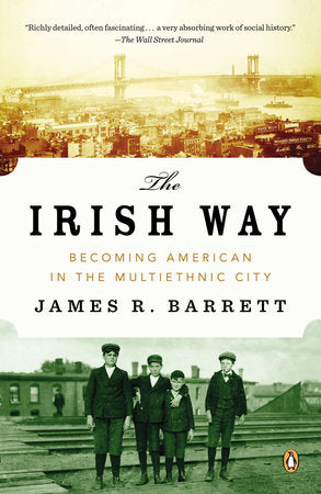 The Irish Way Paperback by James R. Barrett