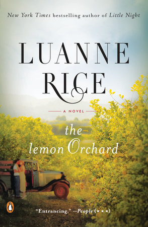 The Lemon Orchard Paperback by Luanne Rice