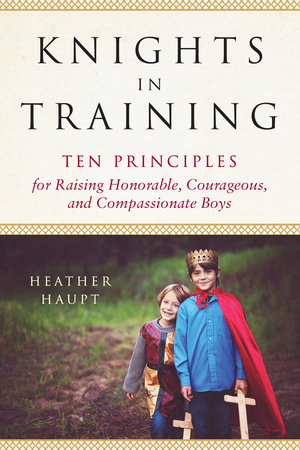 Knights in Training Paperback by Heather Haupt