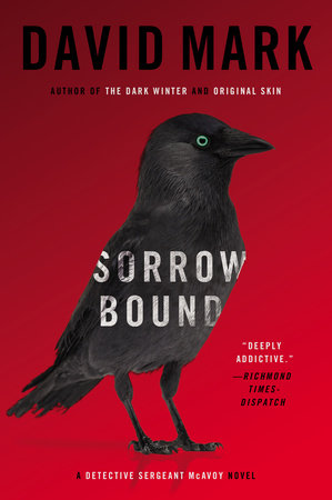 Sorrow Bound Paperback by David Mark