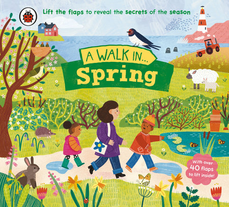A Walk in Spring Board Book by Ladybird
