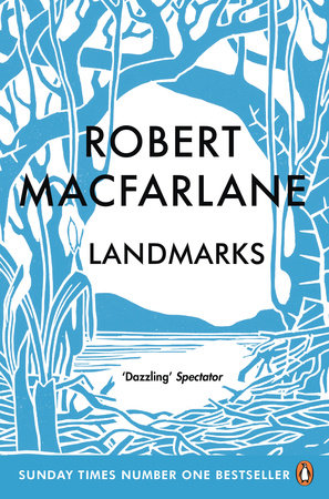 Landmarks Paperback by Robert Macfarlane