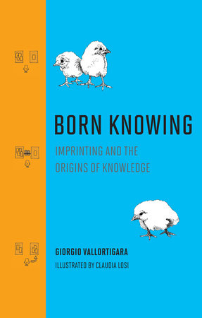 Born Knowing Hardcover by Giorgio Vallortigara; illustrated by Claudia Losi