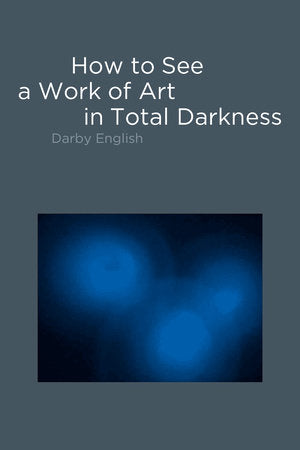 How to See a Work of Art in Total Darkness Paperback by Darby English