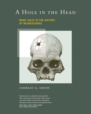 A Hole in the Head Paperback by Charles G. Gross