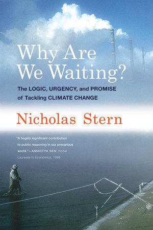 Why Are We Waiting? Paperback by Nicholas Stern