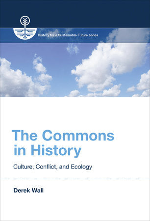 The Commons in History Paperback by Derek Wall