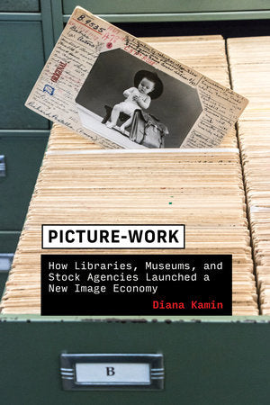 Picture-Work Paperback by Diana Kamin