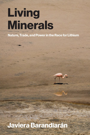 Living Minerals Paperback by Javiera Barandiarán