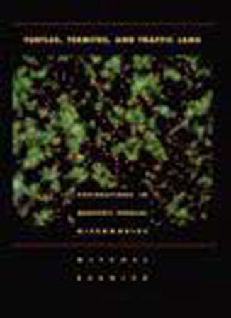 Turtles, Termites, and Traffic Jams Paperback by Mitchel Resnick