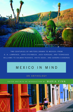 Mexico in Mind Paperback by Maria Finn