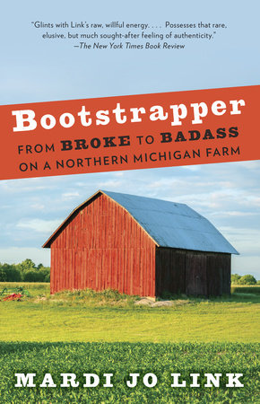 Bootstrapper Paperback by Mardi Link