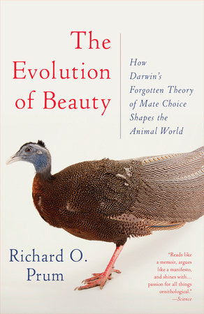 The Evolution of Beauty Paperback by Richard O. Prum