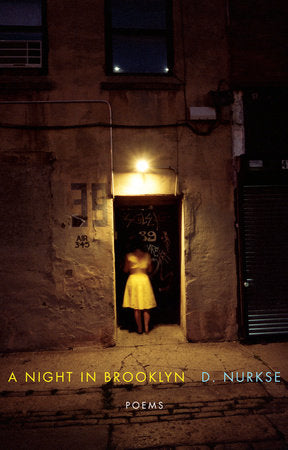 A Night in Brooklyn Paperback by D. Nurkse