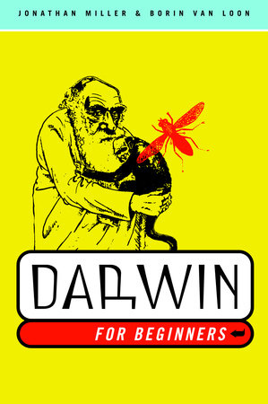 Darwin for Beginners Paperback by Jonathan Miller and Borin van Loon