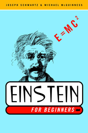 Einstein for Beginners Paperback by Joseph Schwartz and Michael McGuinness