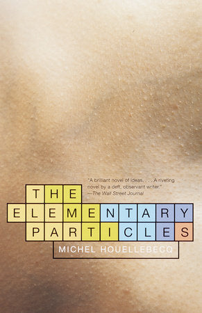 The Elementary Particles Paperback by Michel Houellebecq