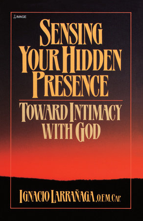 Sensing Your Hidden Presence Paperback by Ignacio Larranaga
