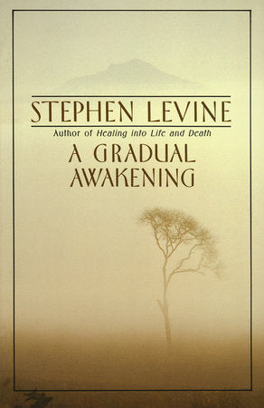 A Gradual Awakening Paperback by Stephen Levine