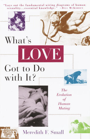 What's Love Got to Do with It? Paperback by Meredith Small