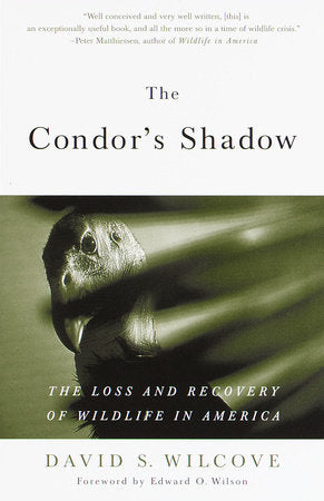 The Condor's Shadow Paperback by David S. Wilcove