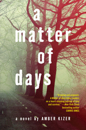 A Matter of Days Paperback by Amber Kizer
