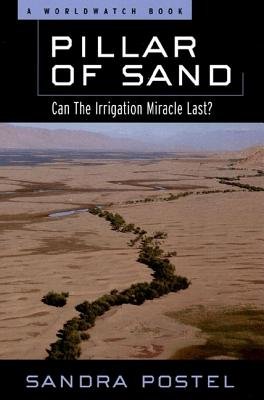 Pillar Of Sand Paperback by Sandra Postel