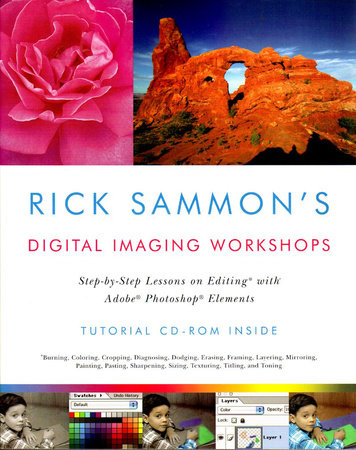 Rick Sammons Digital Imaging Workshops Paperback by Rick Sammon