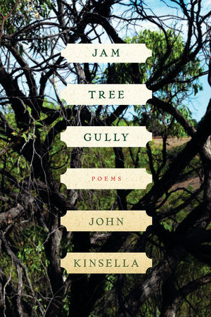 Jam Tree Gully Paperback by John Kinsella