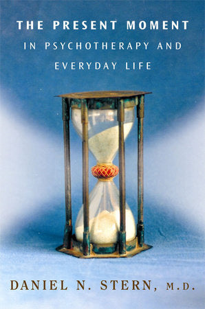 Present Moment in Psychotherapy Hardcover by Daniel Stern