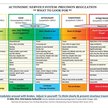 Autonomic Nervous System Table: Laminated Card Merchandise by Babette Rothschild
