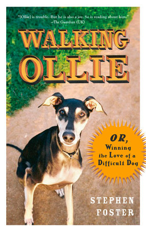 Walking Ollie Paperback by Stephen Foster