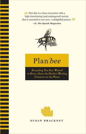 Plan Bee Paperback by Susan Brackney