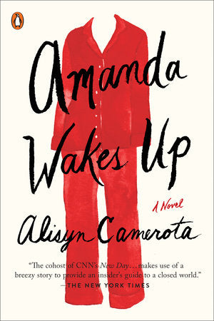 Amanda Wakes Up Paperback by Alisyn Camerota