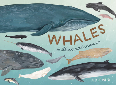 Whales Hardcover by Kelsey Oseid