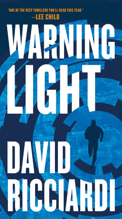 Warning Light Paperback by David Ricciardi