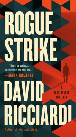 Rogue Strike Paperback by David Ricciardi