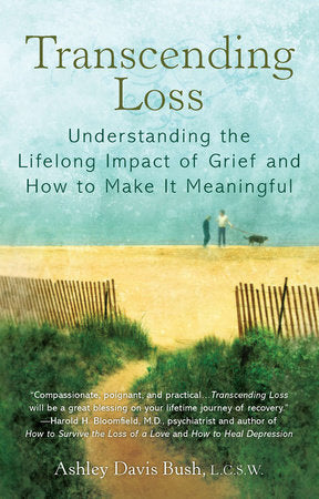 Transcending Loss Paperback by Ashley D Bush