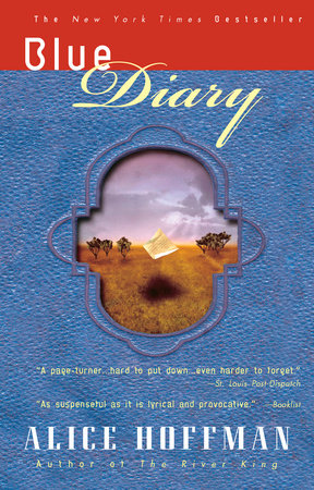 Blue Diary Paperback by Alice Hoffman