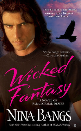 Wicked Fantasy Paperback by Nina Bangs