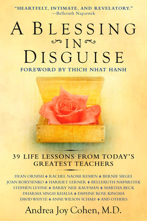A Blessing in Disguise Paperback by Andrea Joy Cohen