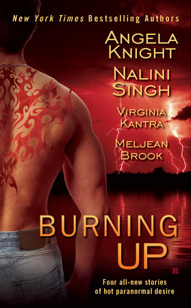 Burning Up Paperback by Angela Knight