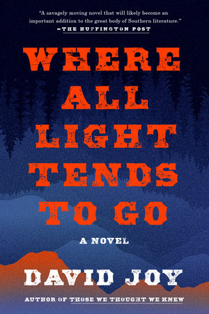 Where All Light Tends to Go Paperback by David Joy