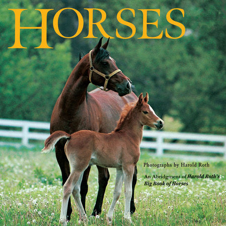 Horses Paperback by Laura Driscoll
